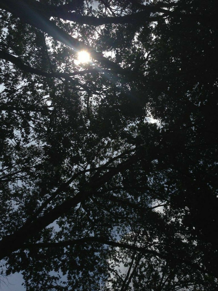 light
