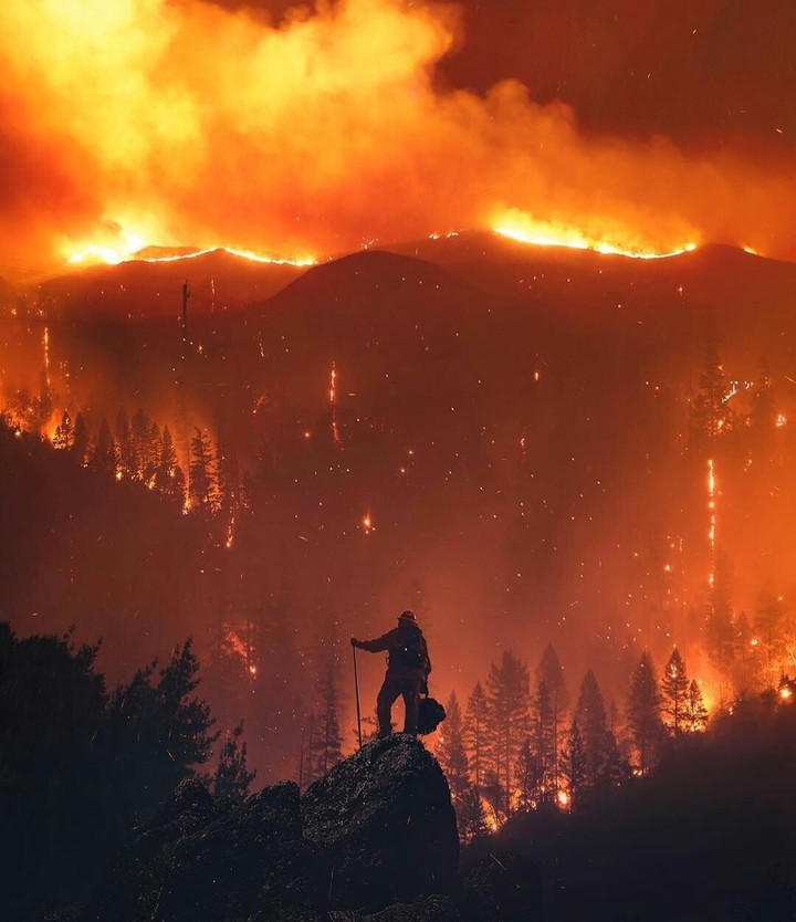#288.California