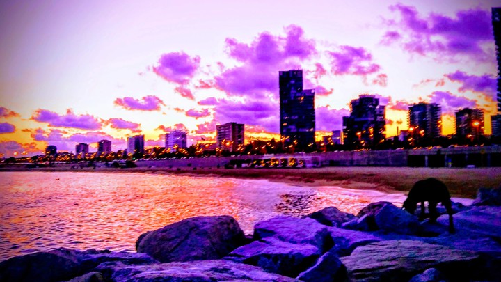 Pink Barcelona...