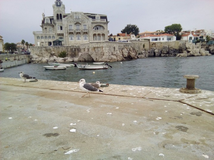 Baia de Cascais