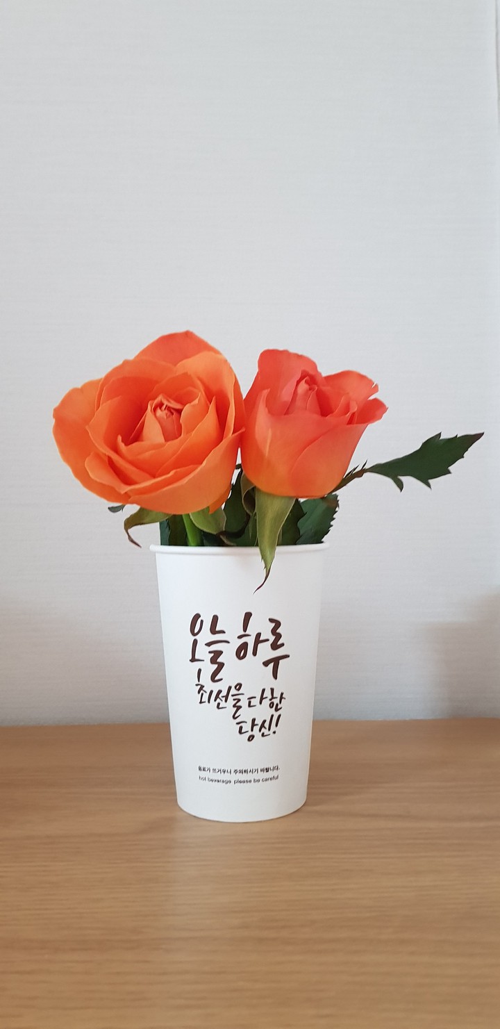 장미 두송이~