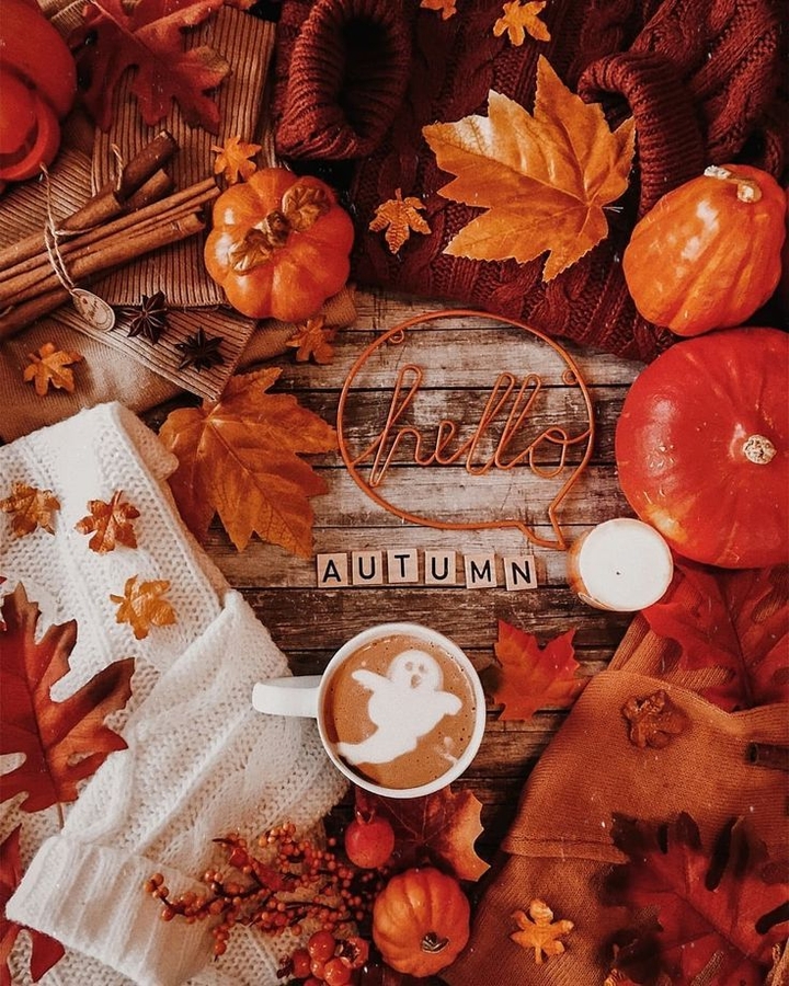 ( Hello ) AUTUMN