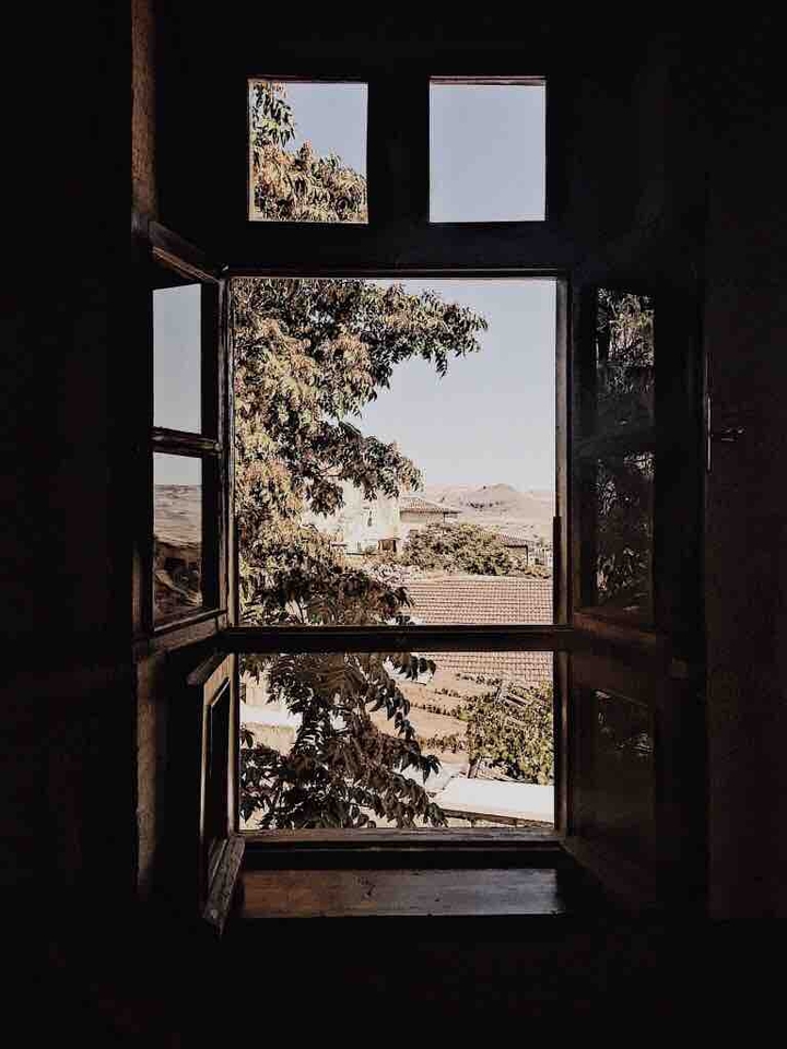 View From Window