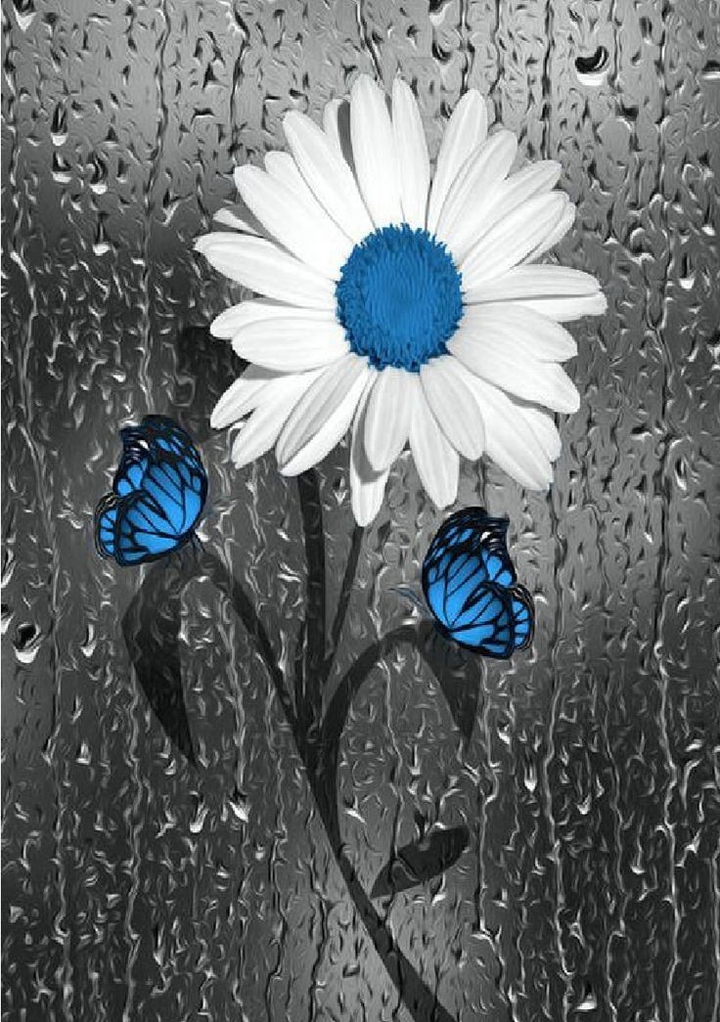 chuva