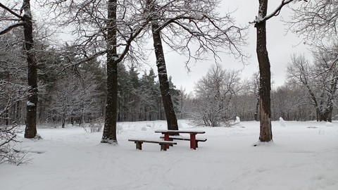 ταπετσαρίες Table, снег