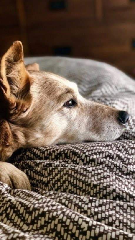 esperando