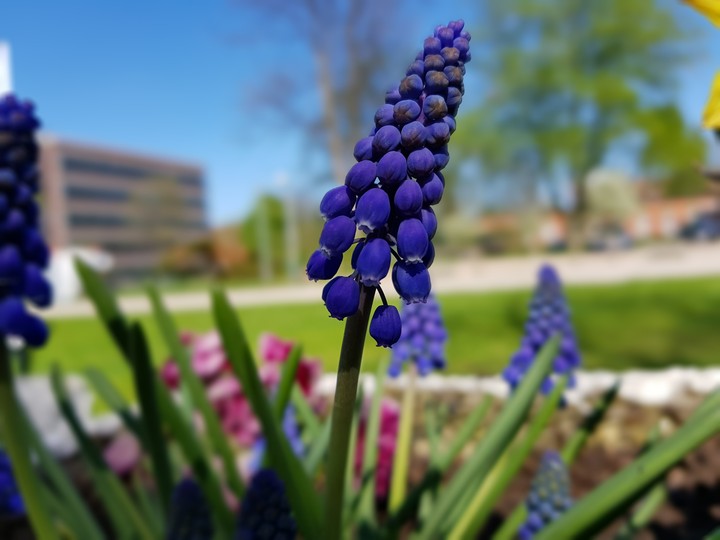 Frühling