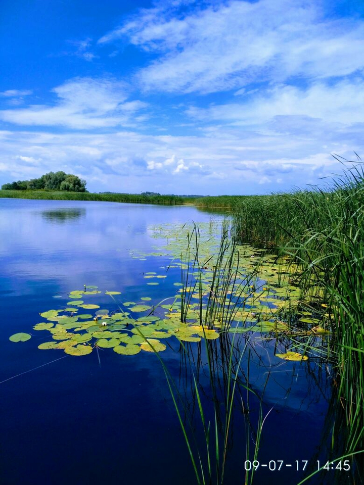 водойма