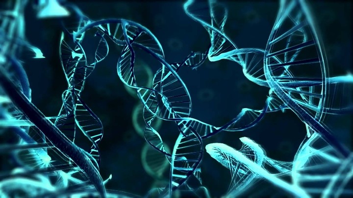 DNA