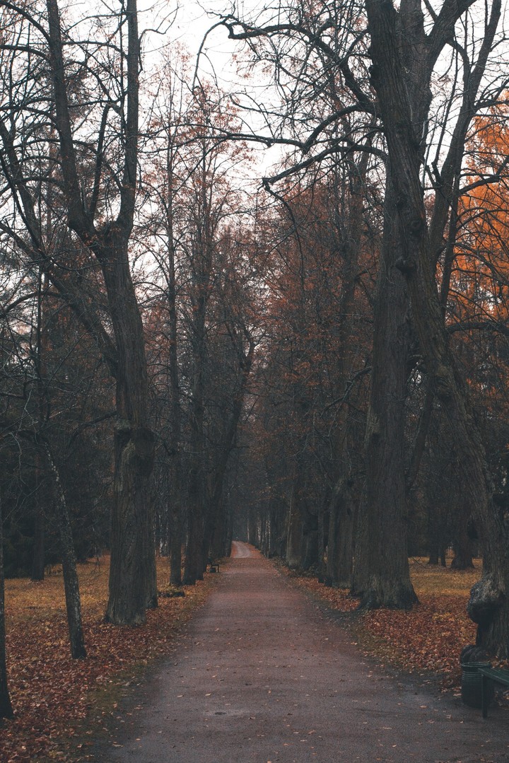 Autumn