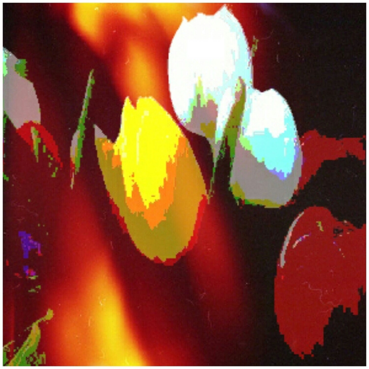 Oil paint of Tulip flower's...