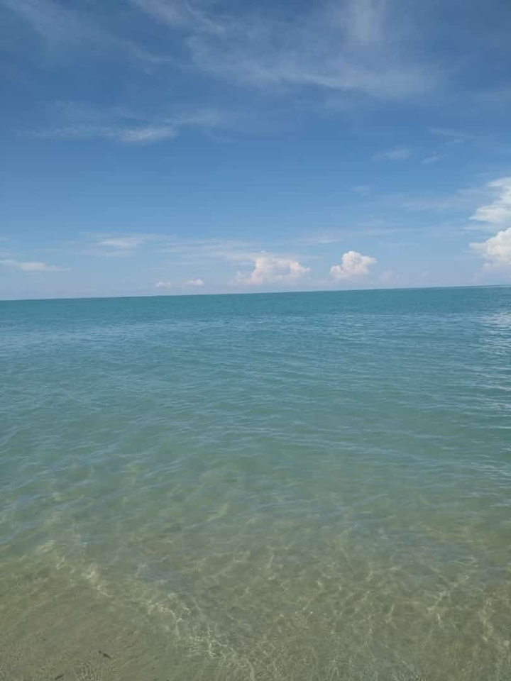 seee