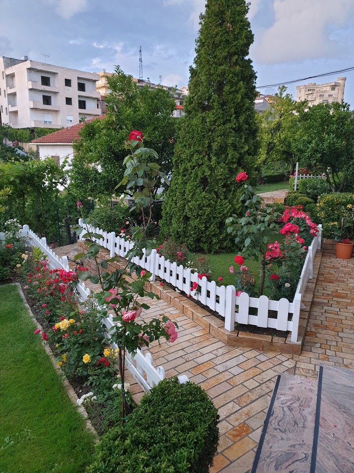 my garden 2020