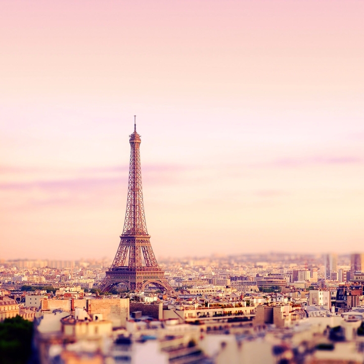 Dreams of the World