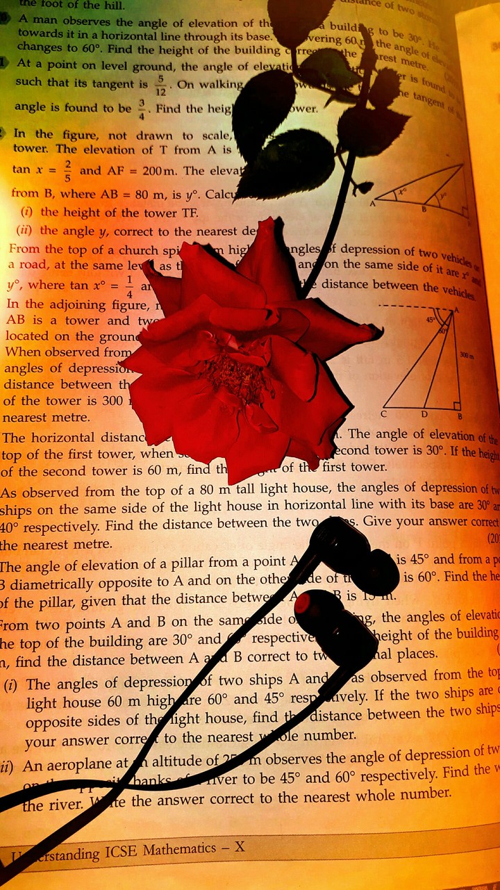 Love of Music❤