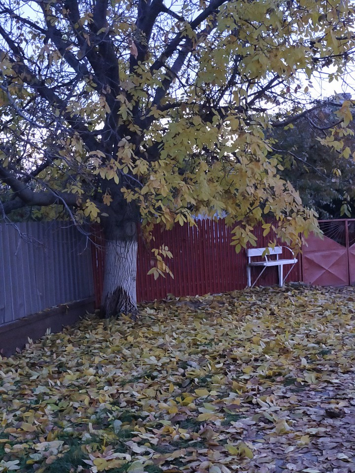 my favourite season