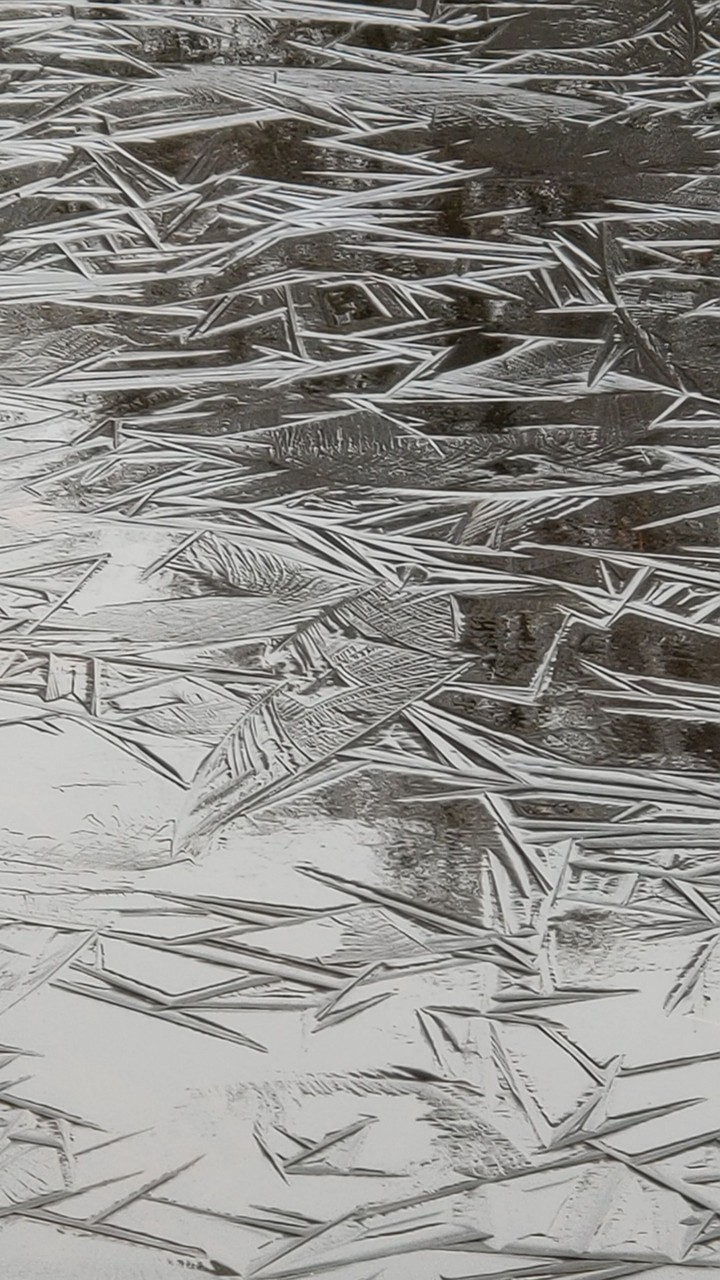lines