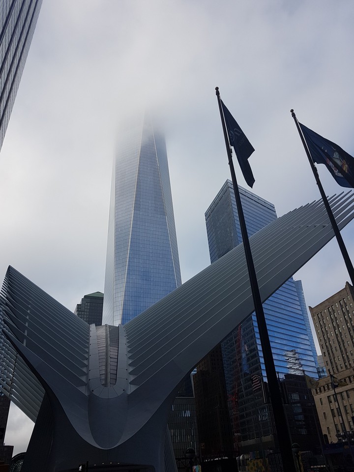 N.Y.