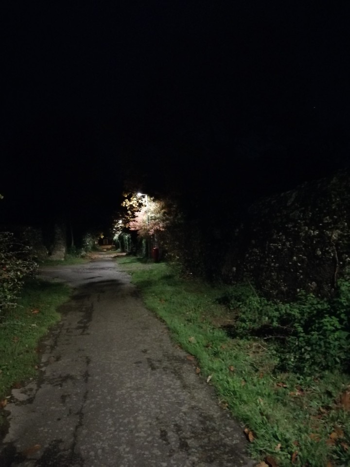 night