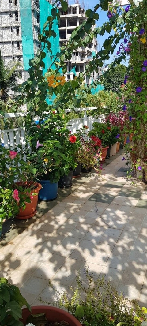 Original green balcony collection