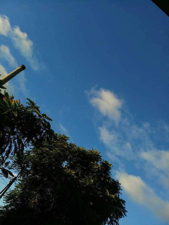 sky