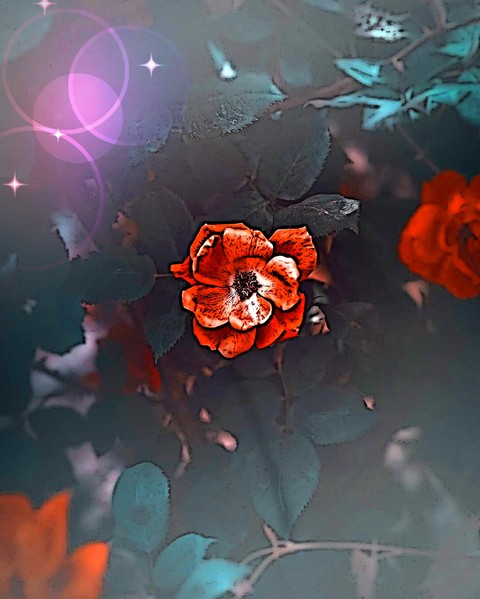 Art, liquid wallpapers
