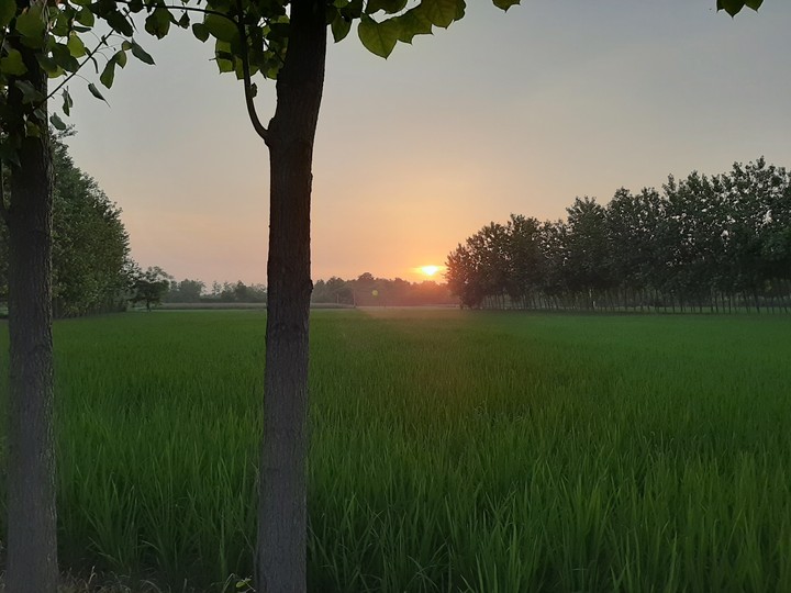 peaceful