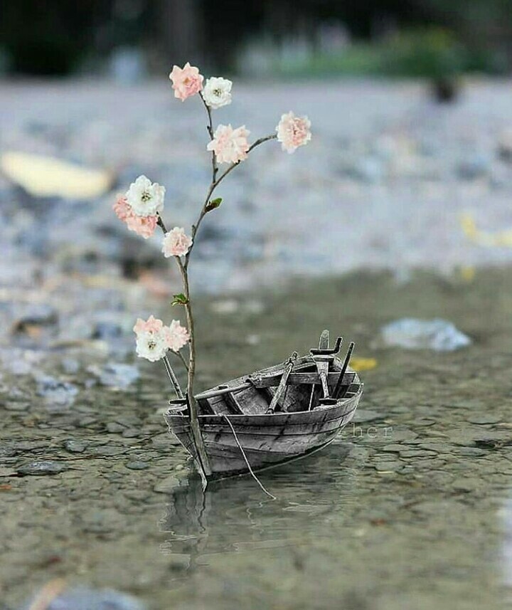 water
