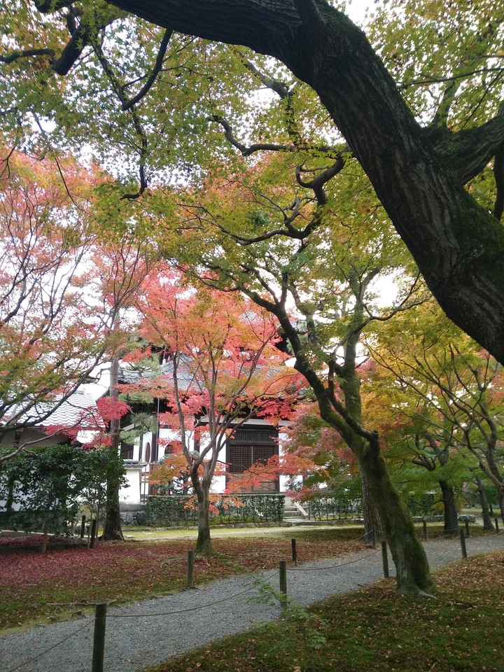 temple in japan