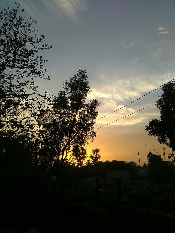 sunset