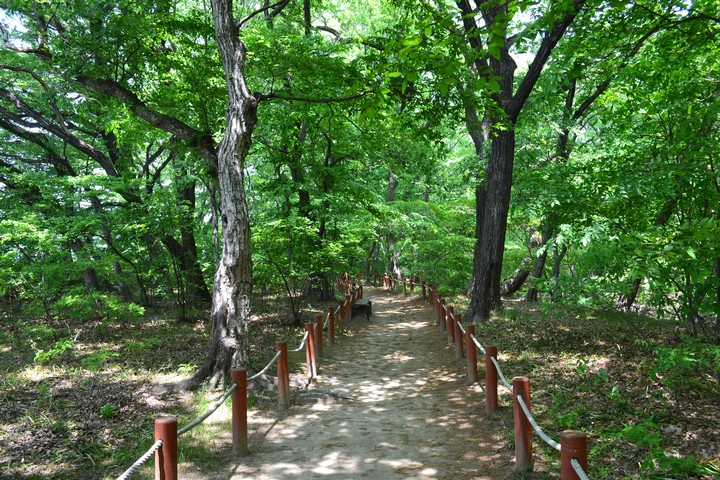 함양상림이미지