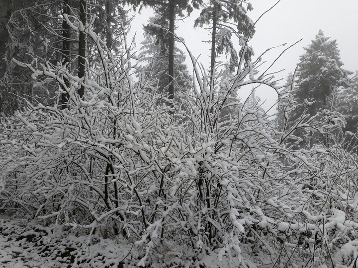winter