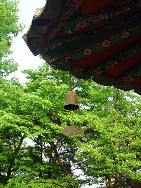 Traditional Culture