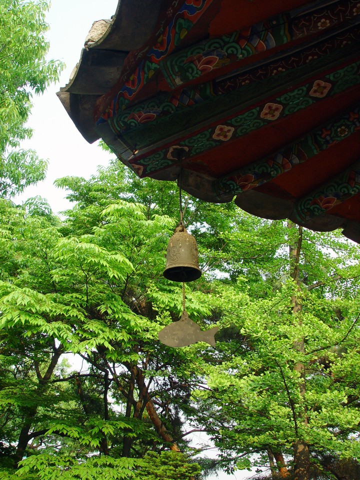 Traditional Culture