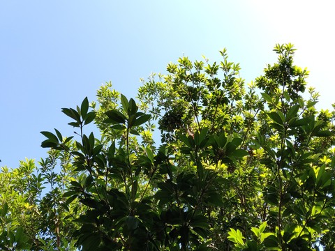 sky