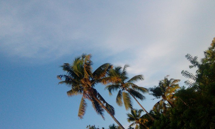 sky