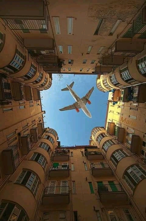 Flight.