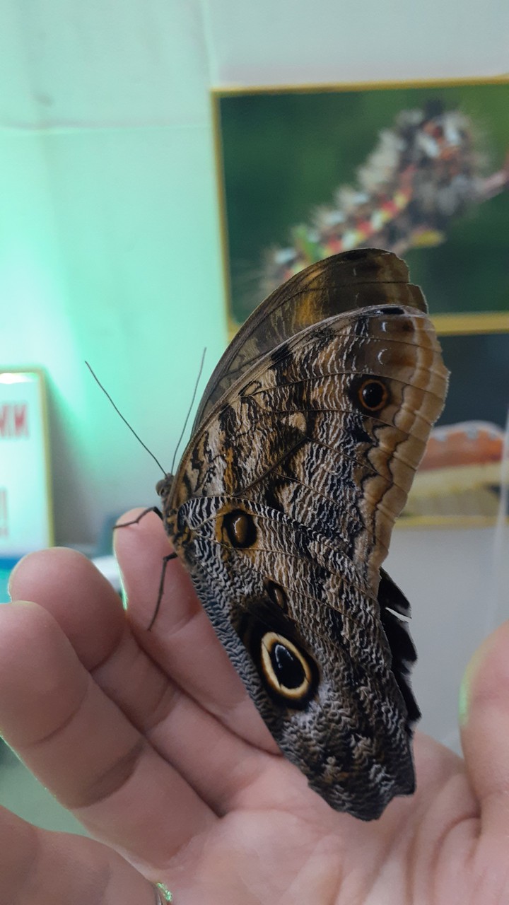 ??