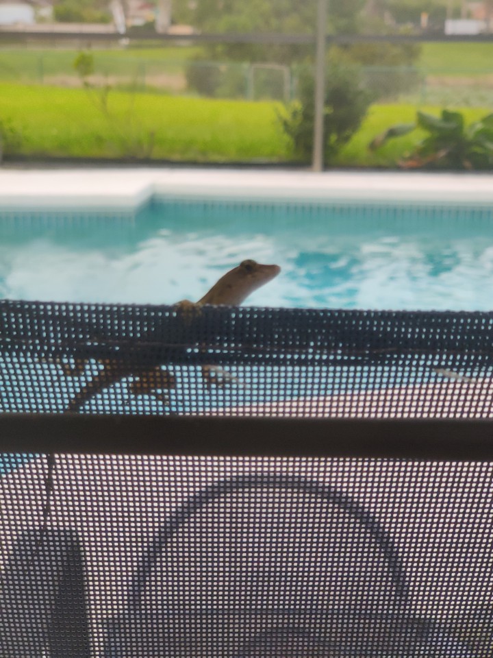 New Friend