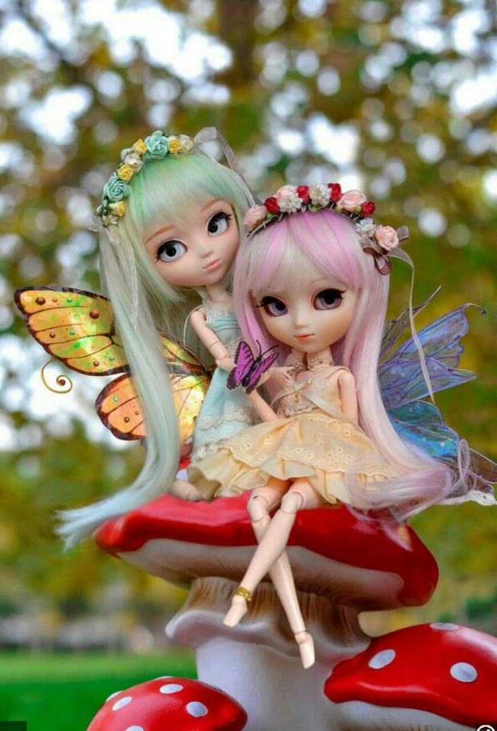 doll