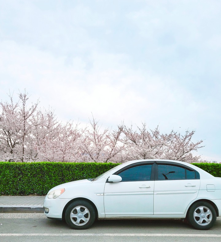 spring