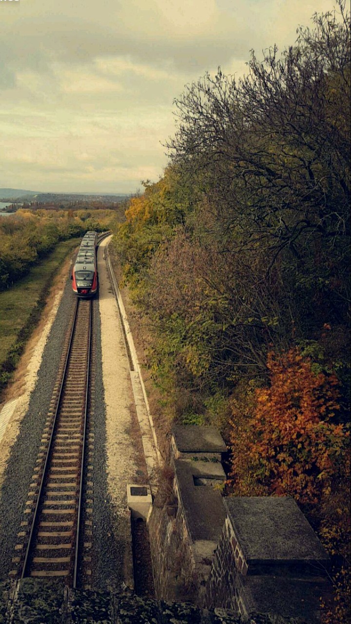 wagonn