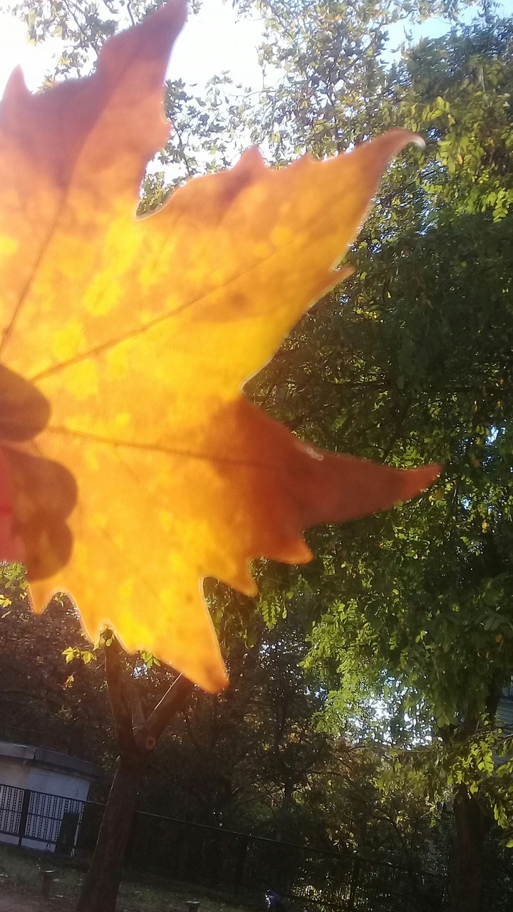 фото моё)