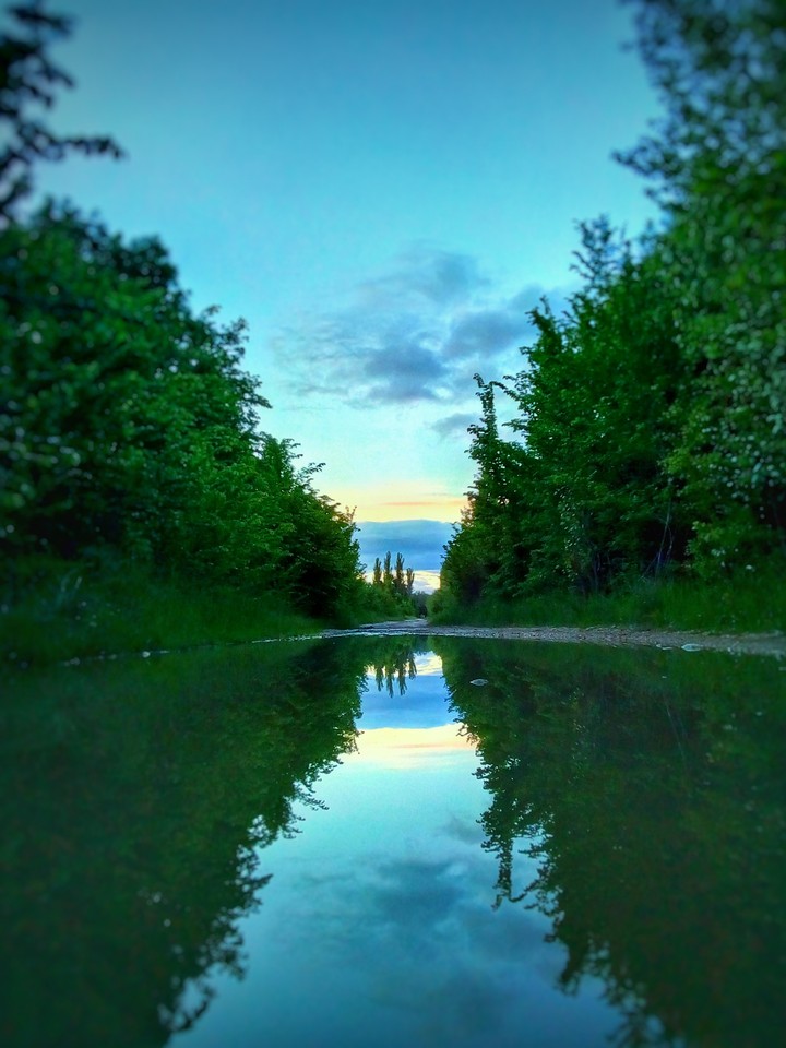Nature