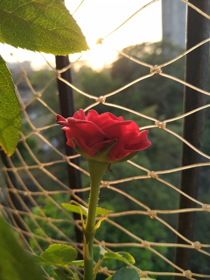best click from my pnone