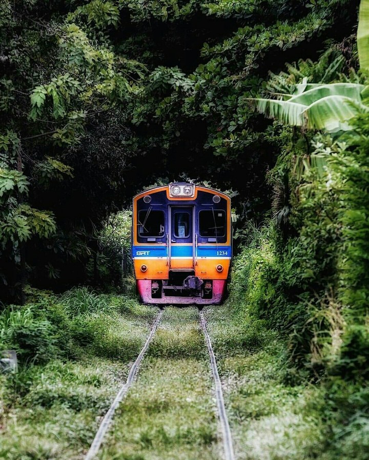 Green Tunnel