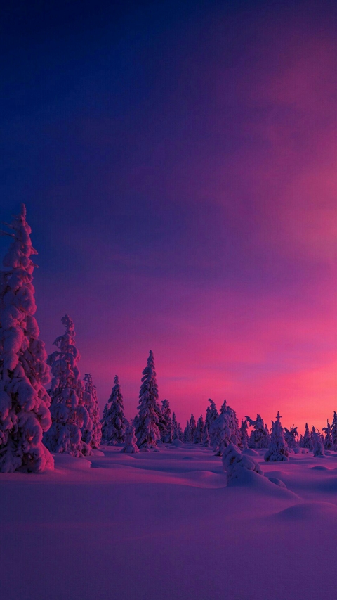 Red Sky