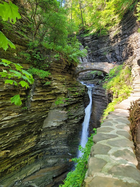 Watkins Glen, Ny