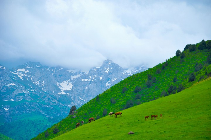 mountain
