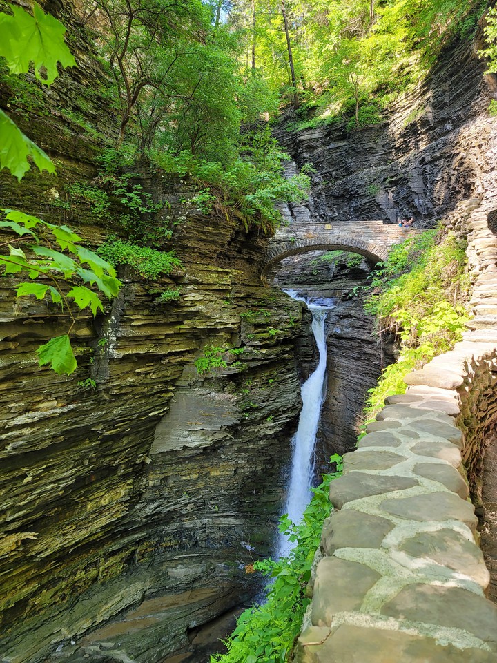 Watkins Glen, Ny